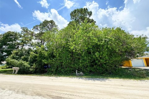 Land in Vero Beach, Florida № 2158617 - photo 4