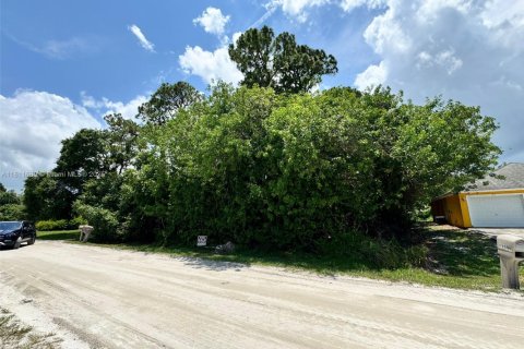 Land in Vero Beach, Florida № 2158617 - photo 6