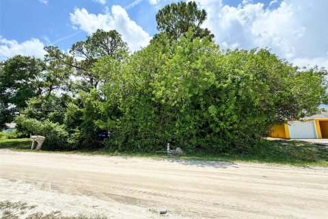 Land in Vero Beach, Florida № 2158617 - photo 5