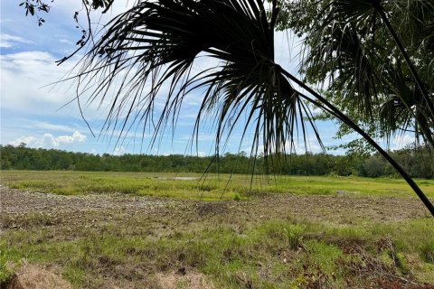 House in Fort MC Coy, Florida 2 bedrooms, 85.84 sq.m. № 2204929 - photo 2