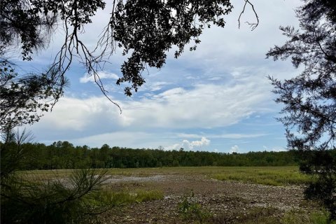 House in Fort MC Coy, Florida 2 bedrooms, 85.84 sq.m. № 2204929 - photo 21