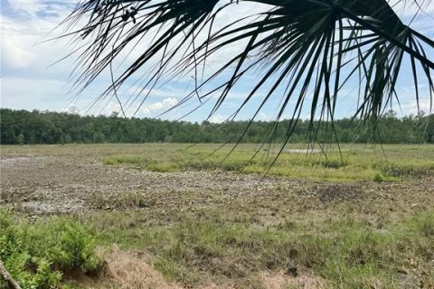 House in Fort MC Coy, Florida 2 bedrooms, 85.84 sq.m. № 2204929 - photo 20