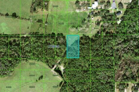 Terreno en Polk City, Florida № 2235136
