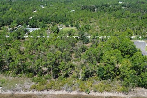 Terrain à vendre à Punta Gorda, Floride № 2234866 - photo 4