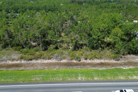 Terrain à vendre à Punta Gorda, Floride № 2234866 - photo 3