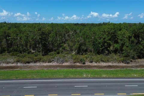 Terrain à vendre à Punta Gorda, Floride № 2234866 - photo 2