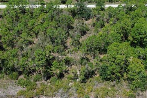 Terrain à vendre à Punta Gorda, Floride № 2234866 - photo 5