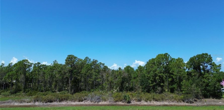 Terrain à Punta Gorda, Floride № 2234866