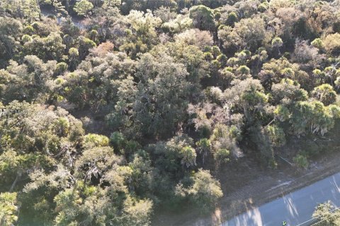 Land in North Port, Florida № 2158266 - photo 26