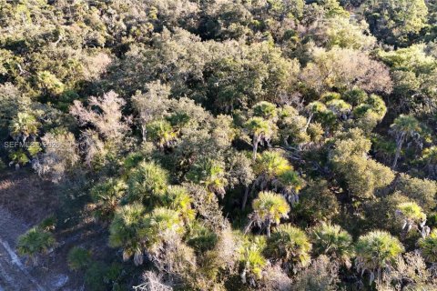 Land in North Port, Florida № 2158266 - photo 25