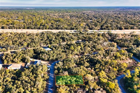 Land in North Port, Florida № 2158266 - photo 17