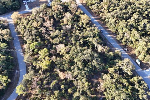 Land in North Port, Florida № 2158266 - photo 18