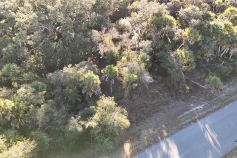 Land in North Port, Florida № 2158266 - photo 10
