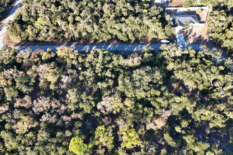 Land in North Port, Florida № 2158266 - photo 5