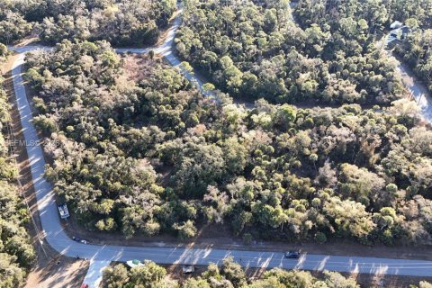 Land in North Port, Florida № 2158266 - photo 2