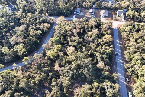 Land in North Port, Florida № 2158266 - photo 4