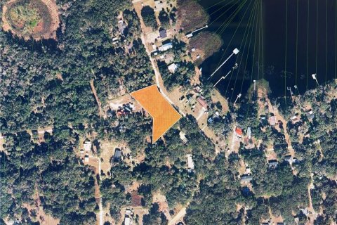 Land in Hawthorne, Florida № 2158867 - photo 4