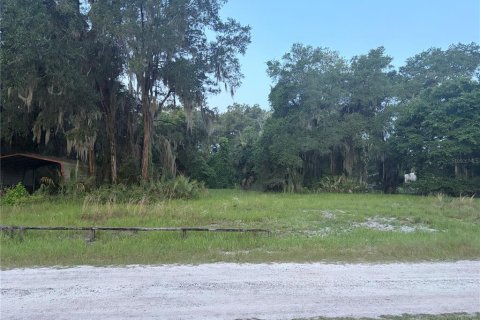 Land in Hawthorne, Florida № 2158867 - photo 2