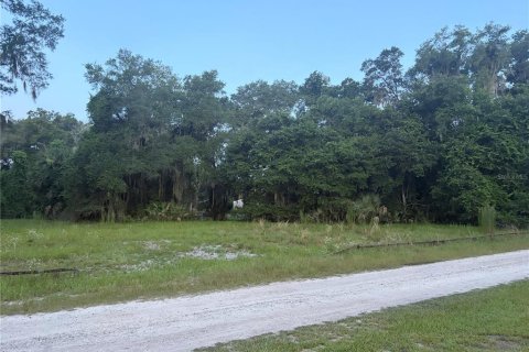 Land in Hawthorne, Florida № 2158867 - photo 3