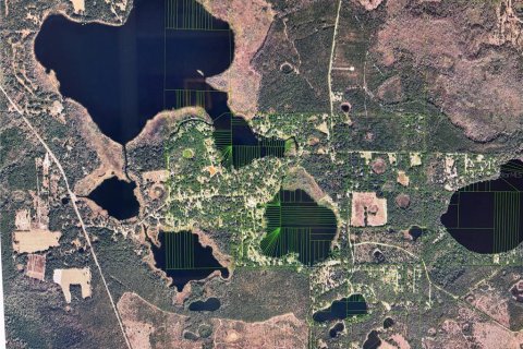 Land in Hawthorne, Florida № 2158867 - photo 7