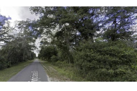 Land in Indian lake estates, Florida № 2238806 - photo 4