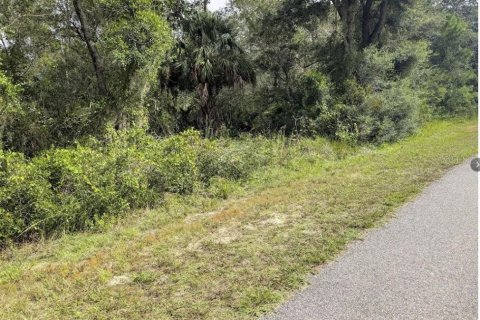 Land in Indian lake estates, Florida № 2238806
