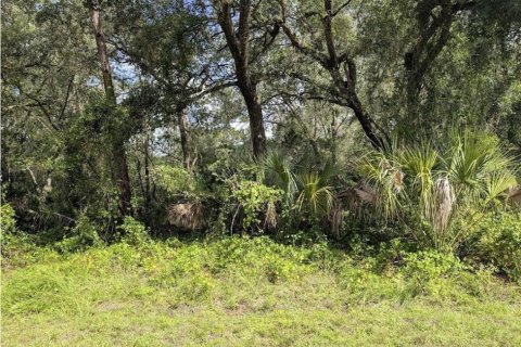 Land in Indian lake estates, Florida № 2238806 - photo 5