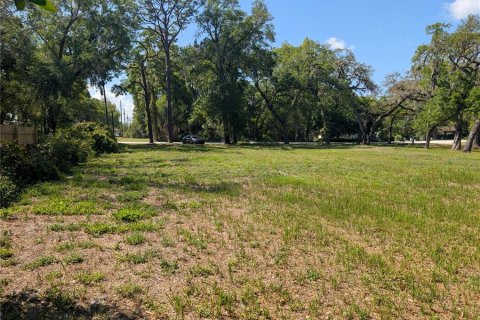 Land in New Port Richey, Florida № 2092689 - photo 6