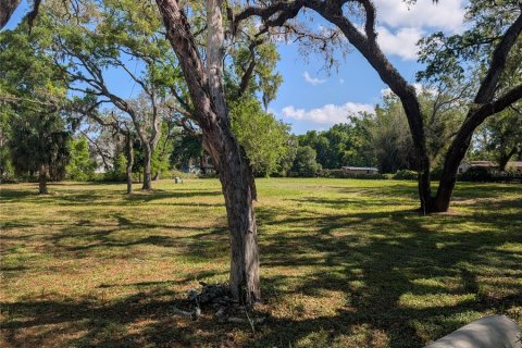 Land in New Port Richey, Florida № 2092689 - photo 5
