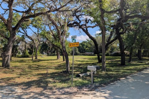 Land in New Port Richey, Florida № 2092689