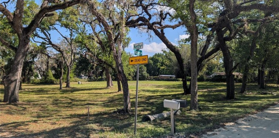Land in New Port Richey, Florida № 2092689
