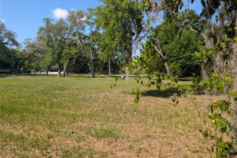 Land in New Port Richey, Florida № 2092689 - photo 4
