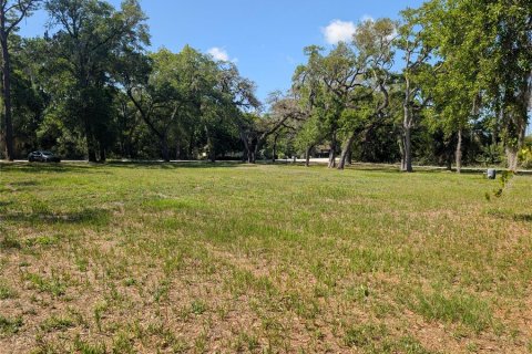 Land in New Port Richey, Florida № 2092689 - photo 3