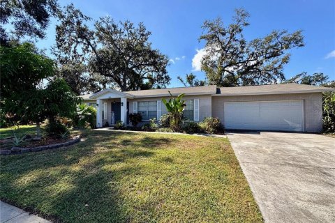 Villa ou maison à Seffner, Floride 3 chambres, 152.82 m2 № 2414996