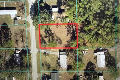 Land in Belleview, Florida № 2162942