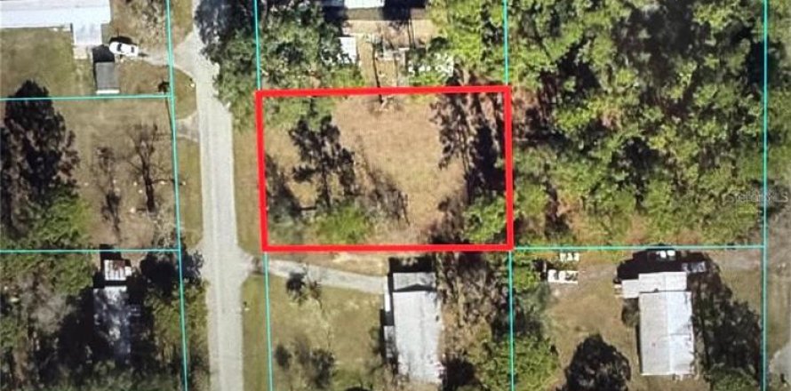 Land in Belleview, Florida № 2162942