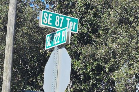 Land in Belleview, Florida № 2162942 - photo 2