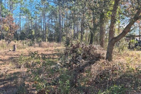 Land in Belleview, Florida № 2162942 - photo 3
