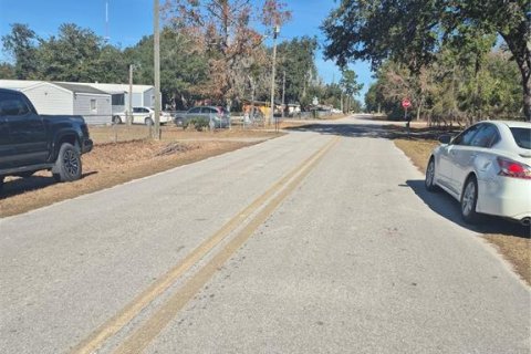 Land in Belleview, Florida № 2162942 - photo 4
