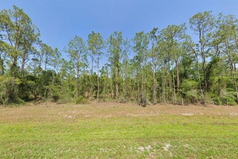 Land in Frostproof, Florida № 2163897 - photo 2