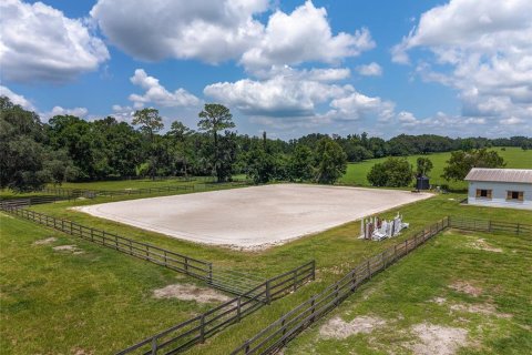 Villa ou maison à louer à Morriston, Floride: 40.13 m2 № 1750277 - photo 26