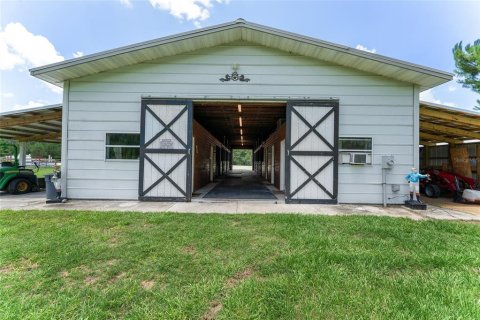 Villa ou maison à louer à Morriston, Floride: 40.13 m2 № 1750277 - photo 7