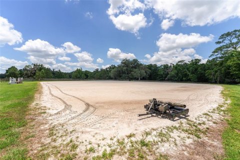 Villa ou maison à louer à Morriston, Floride: 40.13 m2 № 1750277 - photo 28