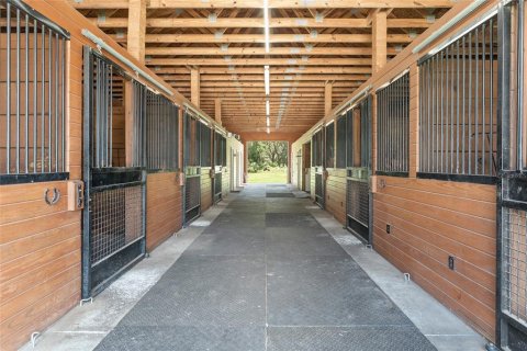 Villa ou maison à louer à Morriston, Floride: 40.13 m2 № 1750277 - photo 15