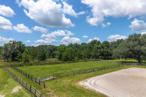 Villa ou maison à louer à Morriston, Floride: 40.13 m2 № 1750277 - photo 29