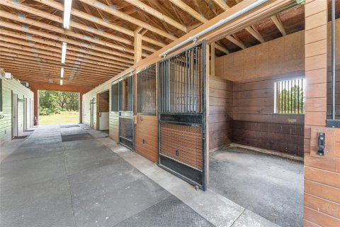 Villa ou maison à louer à Morriston, Floride: 40.13 m2 № 1750277 - photo 17