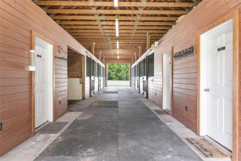 Villa ou maison à louer à Morriston, Floride: 40.13 m2 № 1750277 - photo 8