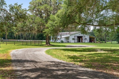 Villa ou maison à louer à Morriston, Floride: 40.13 m2 № 1750277 - photo 3