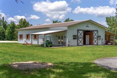 Villa ou maison à louer à Morriston, Floride: 40.13 m2 № 1750277 - photo 4