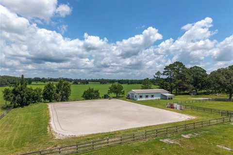 Villa ou maison à louer à Morriston, Floride: 40.13 m2 № 1750277 - photo 25